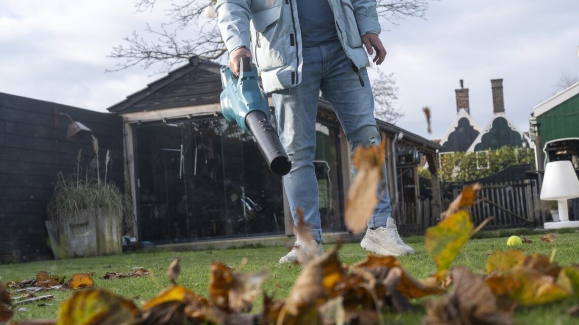 Choisir le souffleur de feuilles idéal pour votre jardin automnal