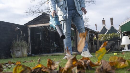 Choisir le souffleur de feuilles idéal pour votre jardin automnal