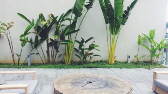 Intégrer une table en tronc d’arbre dans un intérieur moderne : 14 idées